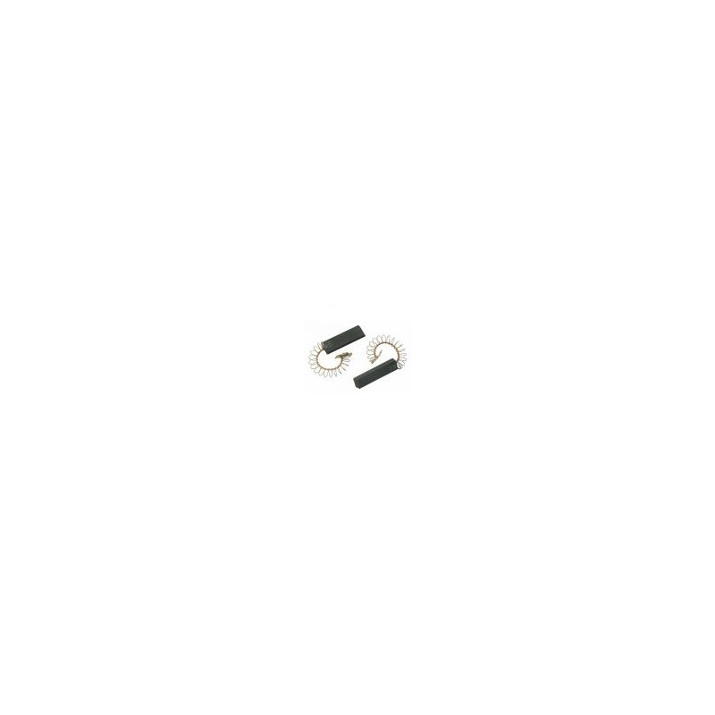 JEU DE 2 CHARBONS ALTERNATIVE BSH 00605694 (VERSION ECO)