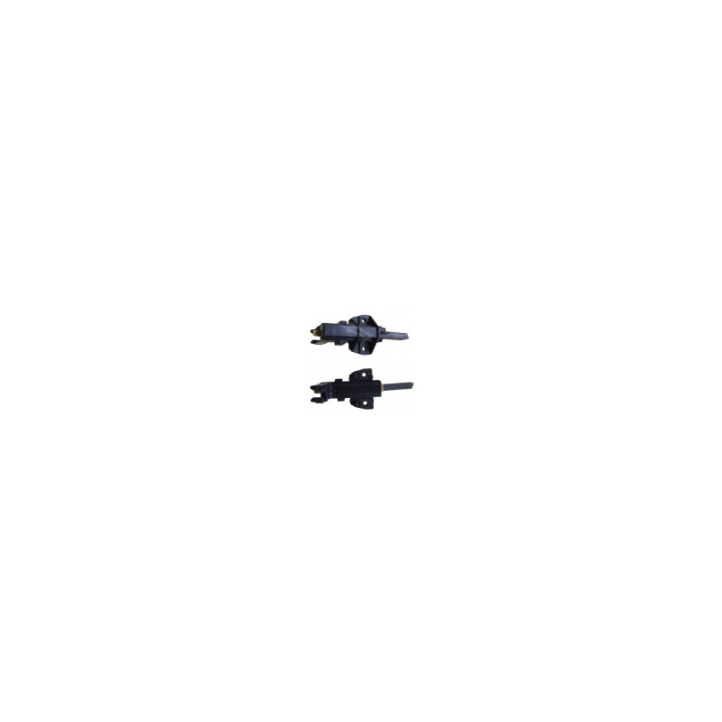 X2 CHARBONS MOTEUR AVEC SUPPORT