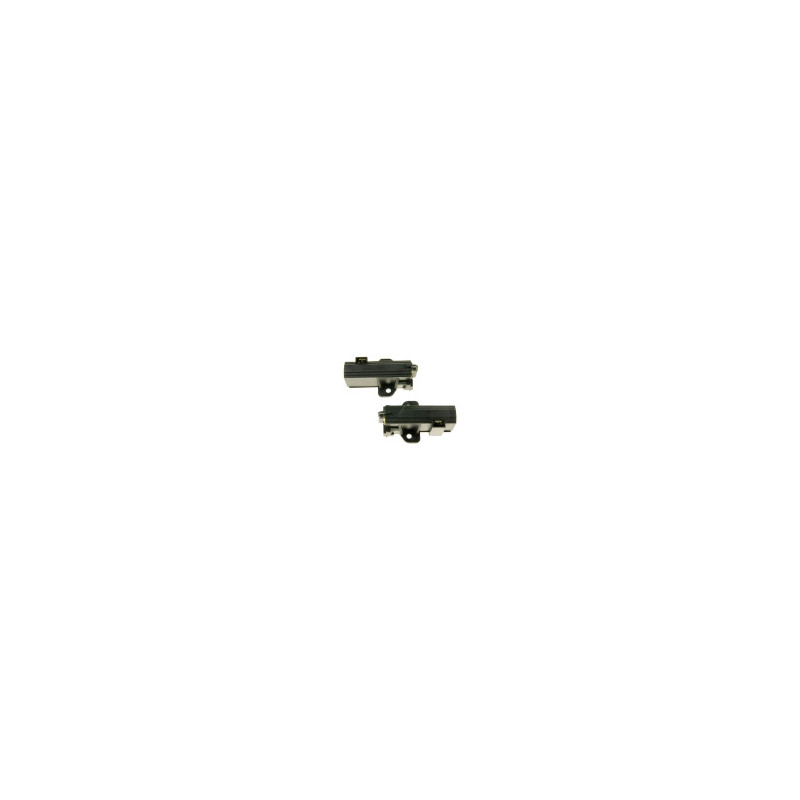 CHARBONS MOTEURS NIDEC SOLE MOTOR / ECO