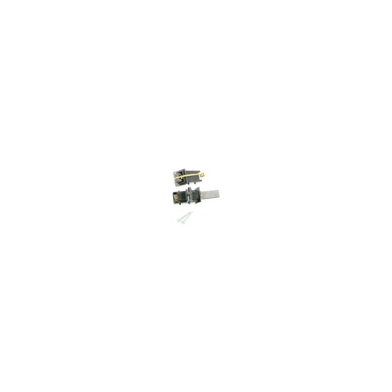 CHARBONS MOTEUR PICOTS 2MM (X2 QUALITÉ ECO) ALTERNATIVE BRANDT - CANDY