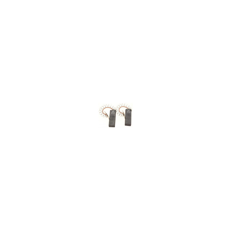 JEU DE 2 CHARBONS MOTEUR
