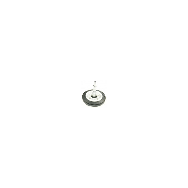 ROULETTE ASSEMBLEE