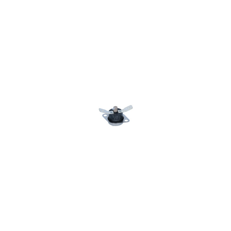2838870100 THERMOSTAT REARMABLE (SECTION SECHAGE)