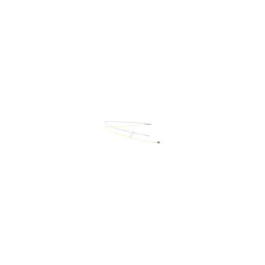 SONDE DE TEMPERATURE ALTERNATIVE SMEG 948650108