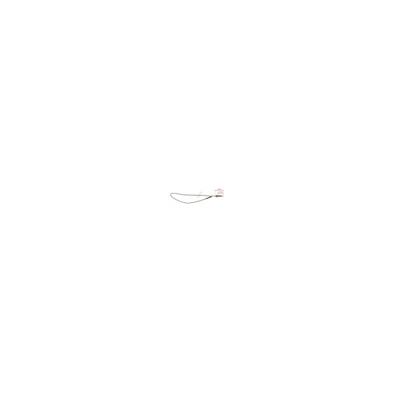 C00052986 THERMOCOUPLE L600MM