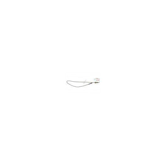 C00052986 THERMOCOUPLE L600MM