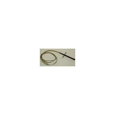 C00311274 SONDE TEMPERATURE