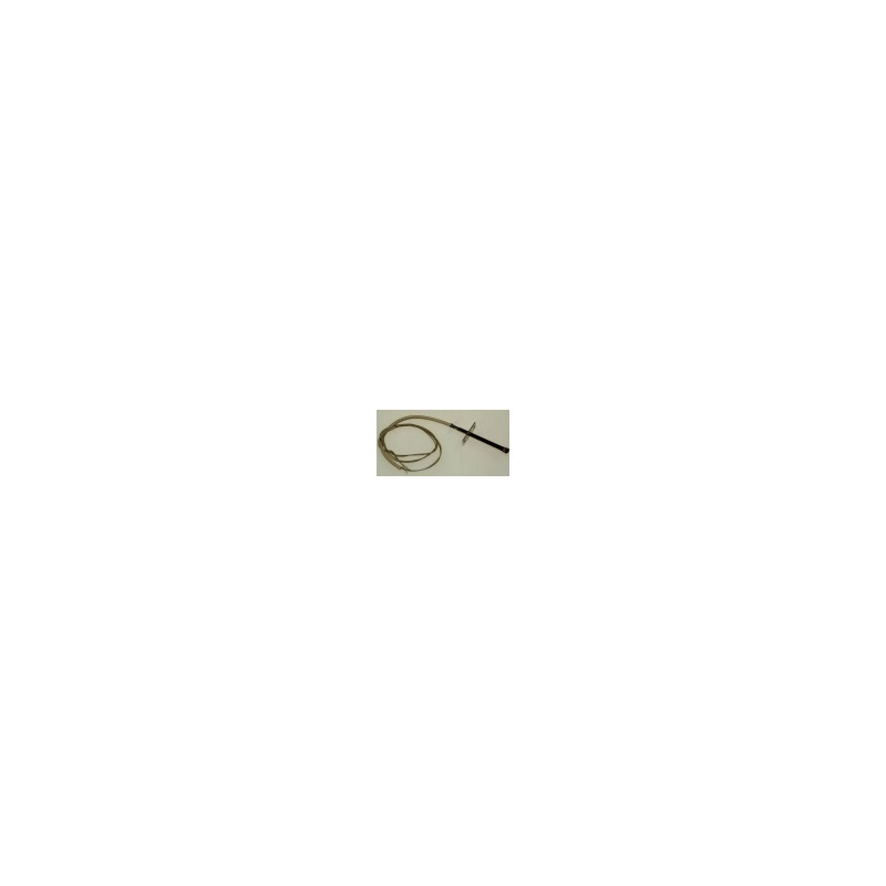 C00311274 SONDE TEMPERATURE