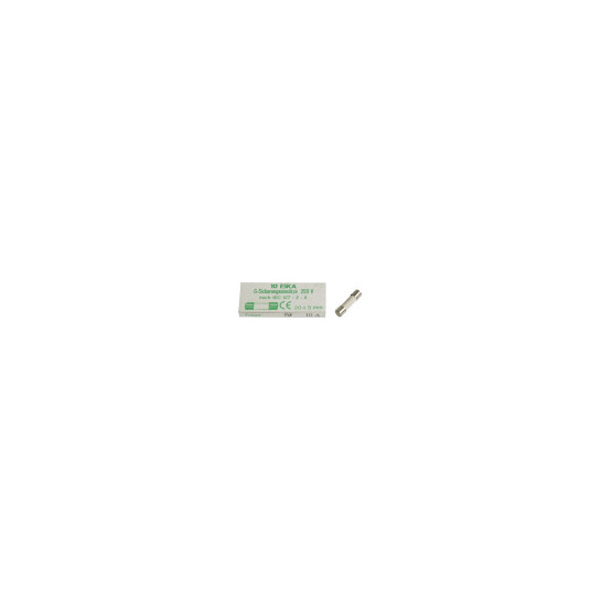 10A-T FUSIBLE CÉRAMIQUE 5X20 MM AU NORME ROHS PAR 10PCS