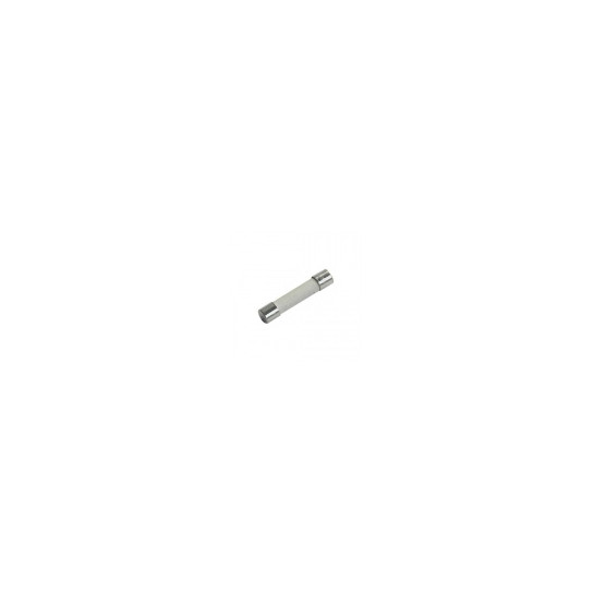 FUSIBLE 12A 250VAC