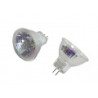 LOT DE 2 LAMPES HALOGÈNE REF. 4021791