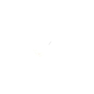 C00937412 DIFFUSEUR