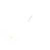 C00937412 DIFFUSEUR