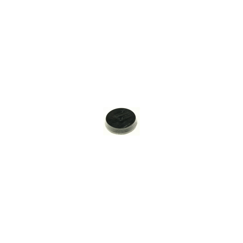 ACK62259 FILTRE À CHARBON (X1) TYPE 145 HOTTE TYPE J