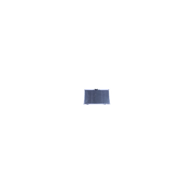 FILTRE CHARBON ALTERNATIVE BSH 11025805 - 11008080 - DSZ4551 - Z54TC01X0 - LZ45510