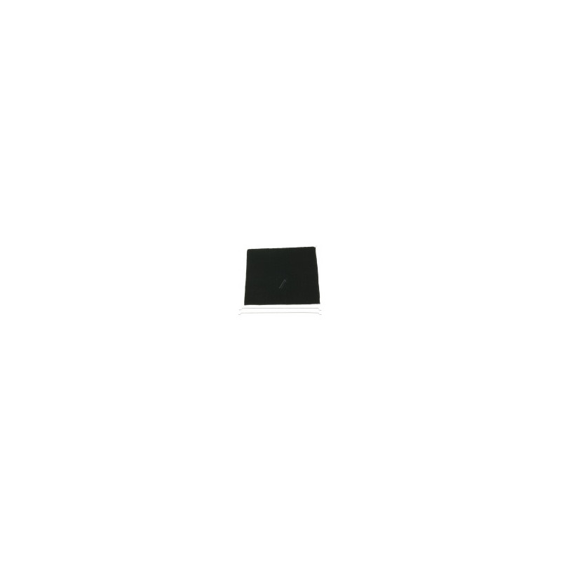 FILTRE CHARBON LONG LIFE TYP31 (X1) ALTERNATIVE ELECTROLUX 9029793842
