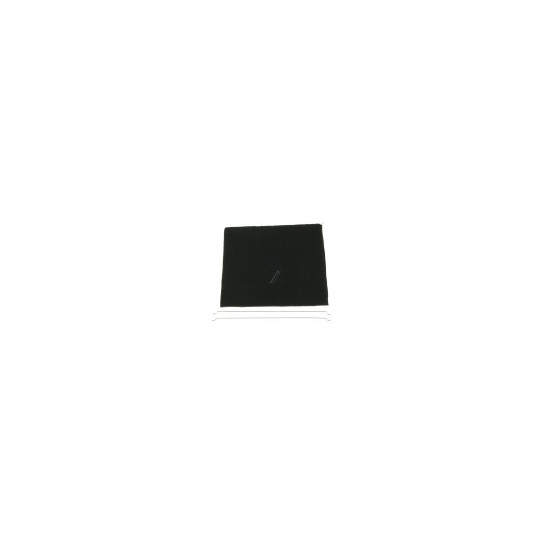 FILTRE CHARBON LONG LIFE TYP31 (X1) ALTERNATIVE ELECTROLUX 9029793842