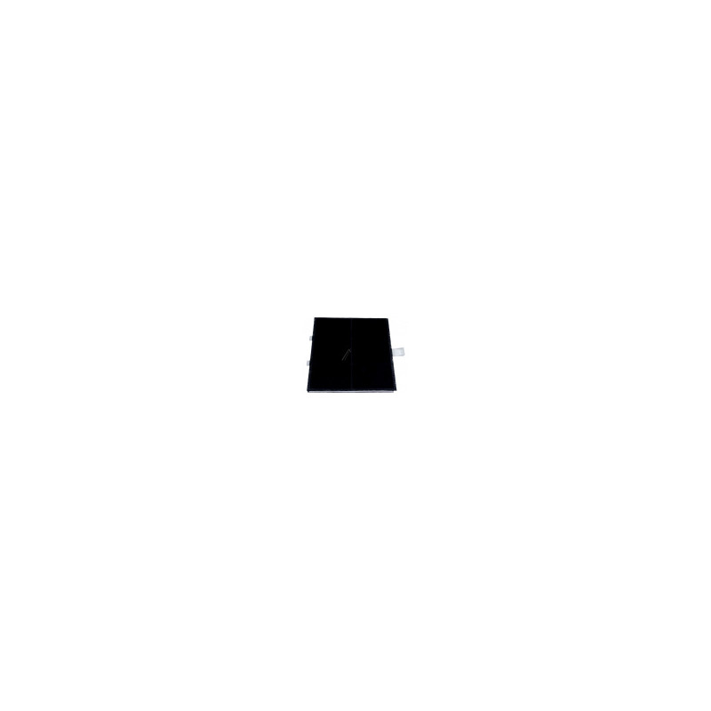DHZ5185 FILTRE DE CHARBON ACTIF