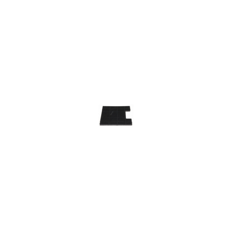 ACF005 FILTRE À CHARBON ACTIF