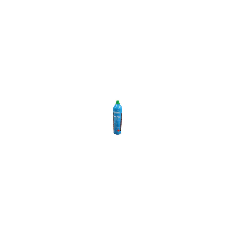 C00089700 RECHARGE FLUIDE / GAZ RÉFRIGÉRANT R600A (420GR)