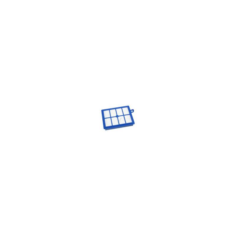 EFS1W FILTRE HEPA ALLERGY PLUS EFS1W