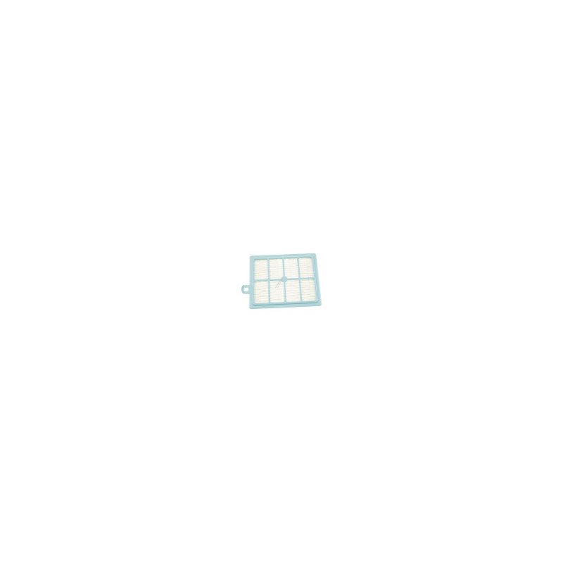 FC8031/00 FC8031 FILTRE HEPA