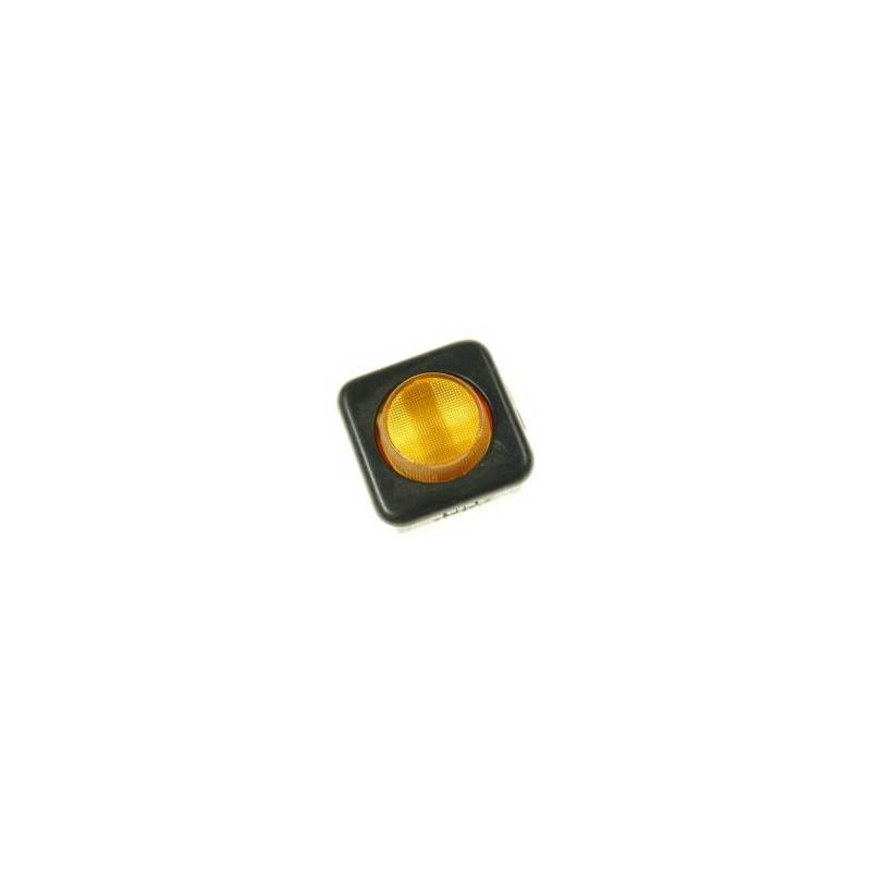 VOYANT ORANGE 10A 250V