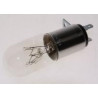 LAMPE