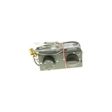 GV31T-C4AYE1K0-004 VALVE GAZ MERTIK 110-190°C