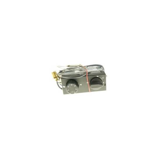 GV31T-C4AYE1K0-004 VALVE GAZ MERTIK 110-190°C